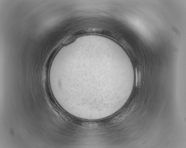 X0000115550435200912041035