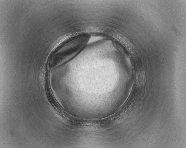 X0000115550436200912041035