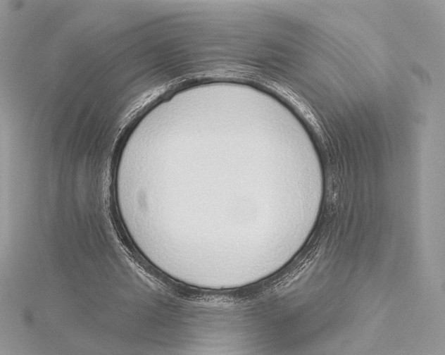 X0000115550437200912041035