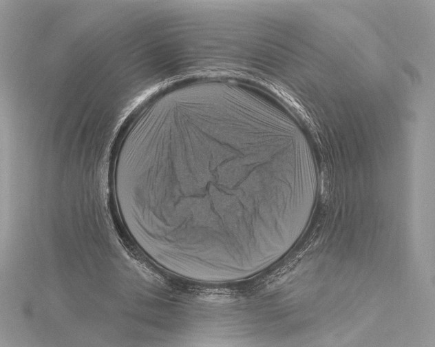 X0000115550438200912041035