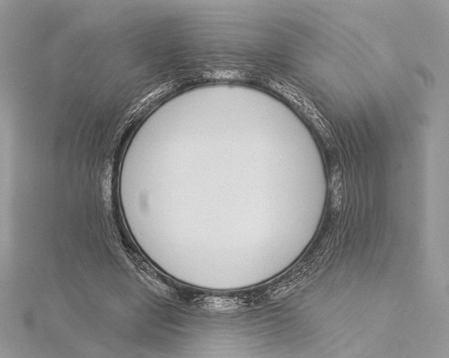 X0000115550442200912041035