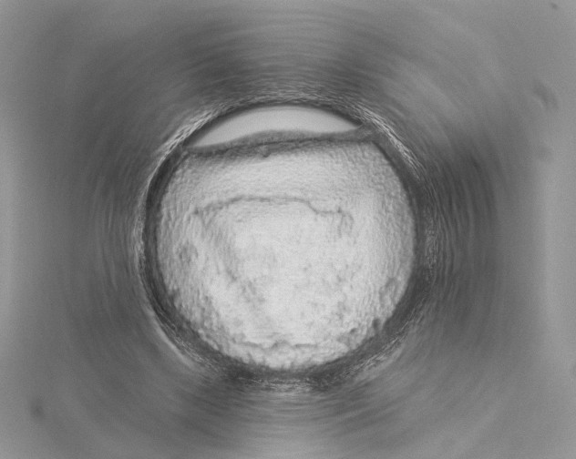 X0000115550443200912041035