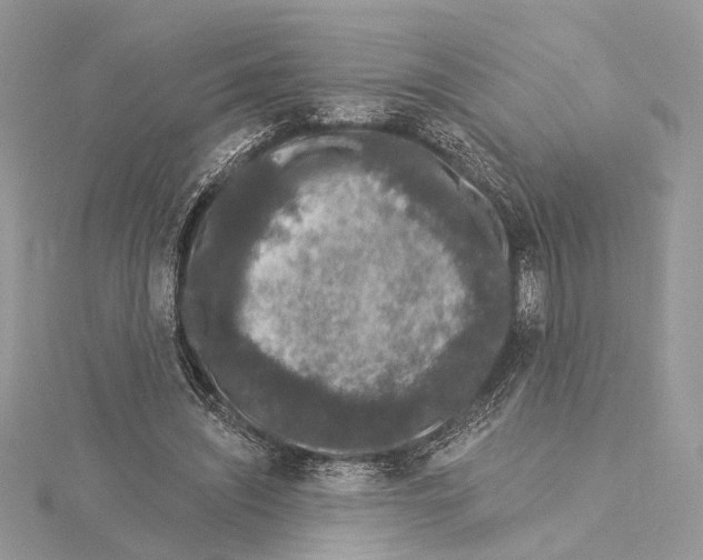 X0000115550444200912041035