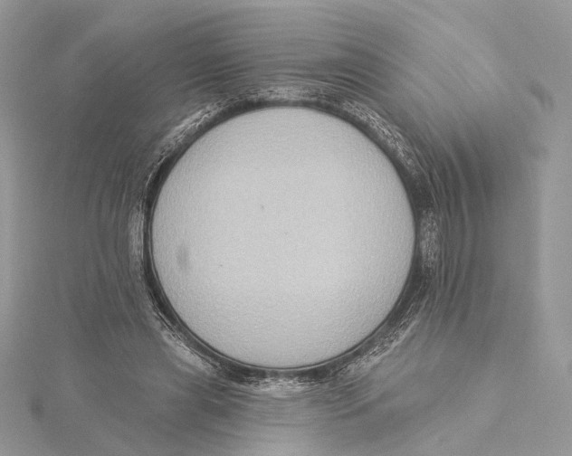 X0000115550445200912041035