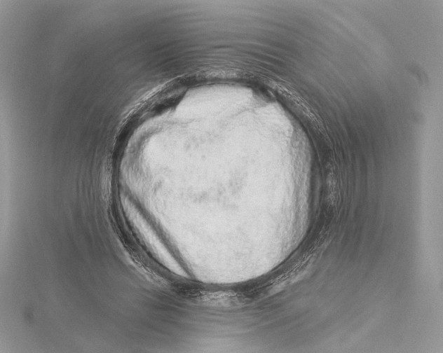 X0000115550446200912041035