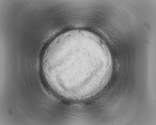 X0000115550447200912041035