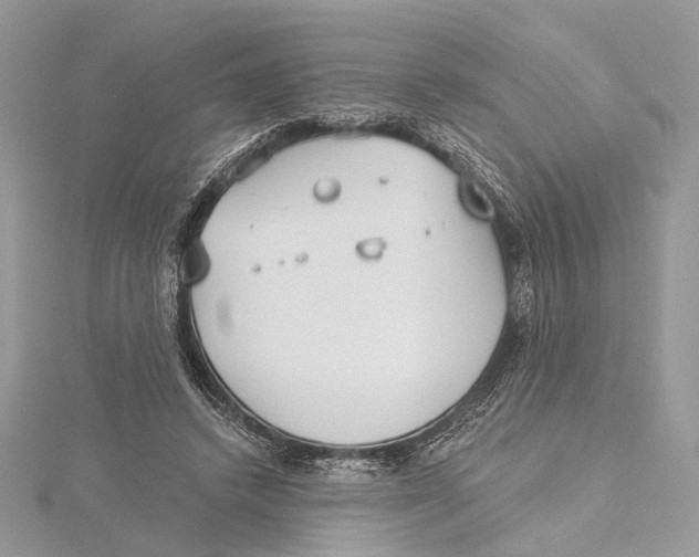 X0000115550448200912041035