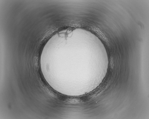 X0000115550449200912041035