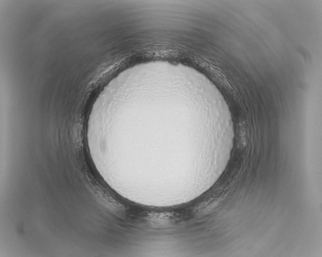 X0000115550450200912041035