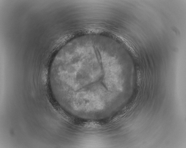 X0000115550451200912041035