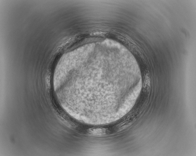 X0000115550452200912041035