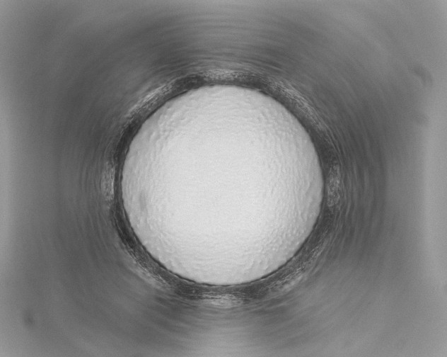 X0000115550454200912041035