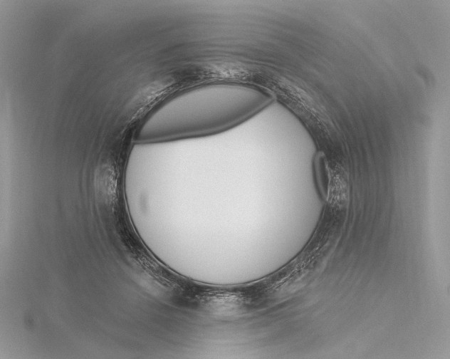 X0000115550456200912041035