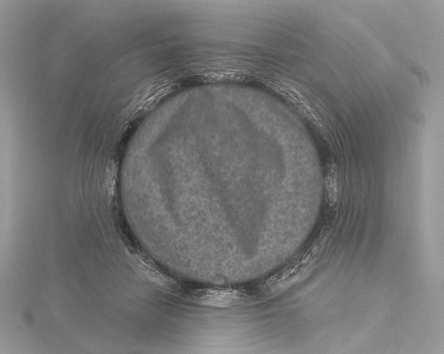 X0000115550458200912041035