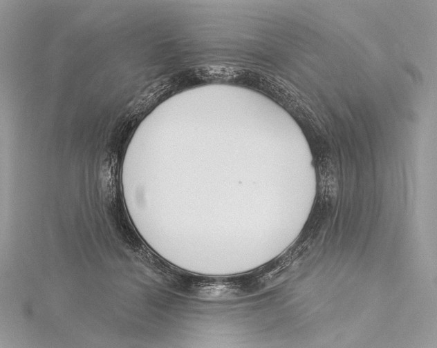 X0000115550460200912041035