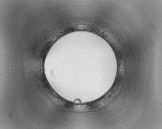 X0000115550461200912041035