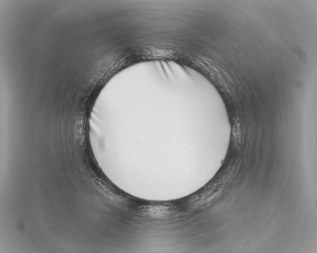 X0000115550462200912041035