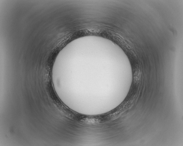 X0000115550464200912041035