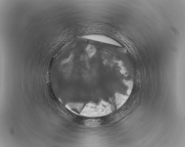 X0000115550465200912041035