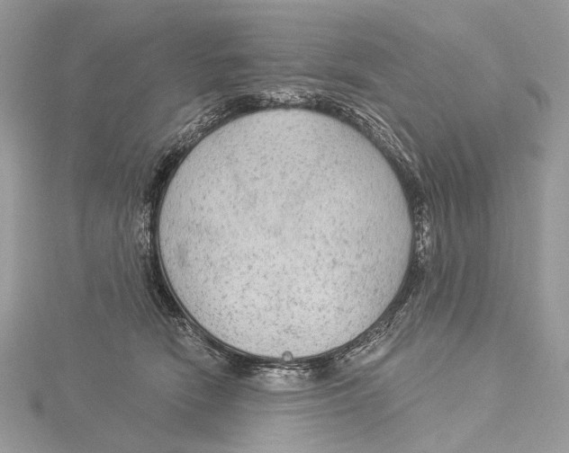 X0000115550466200912041035