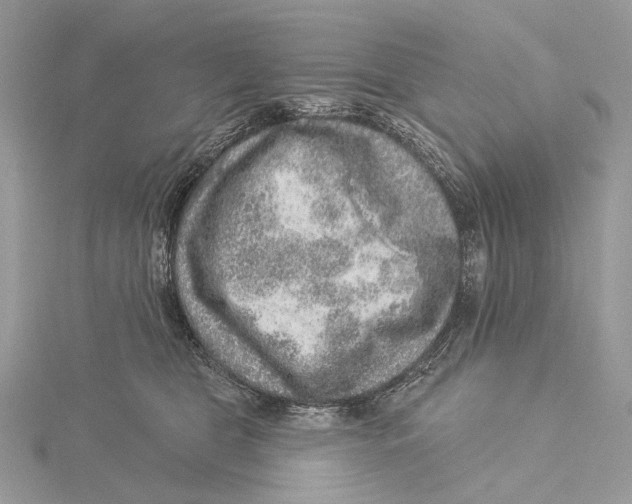 X0000115550469200912041035