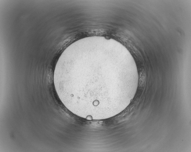 X0000115550474200912041035