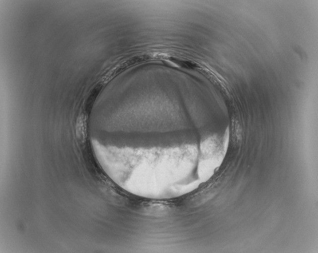 X0000115550475200912041035