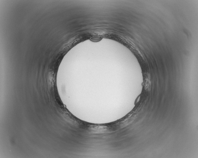 X0000115550476200912041035