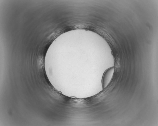 X0000115550478200912041035