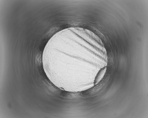 X0000115550479200912041035