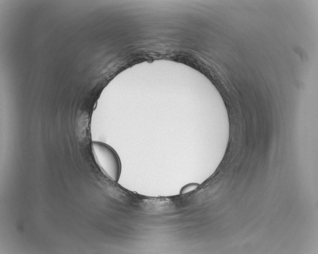 X0000115550480200912041035