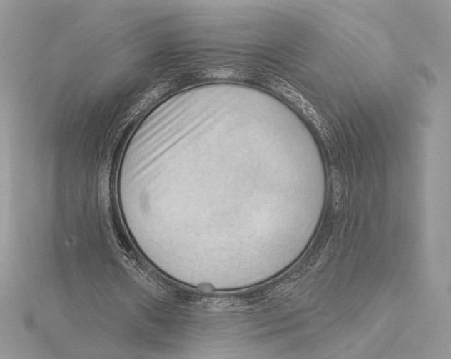 X0000115550482200912041035