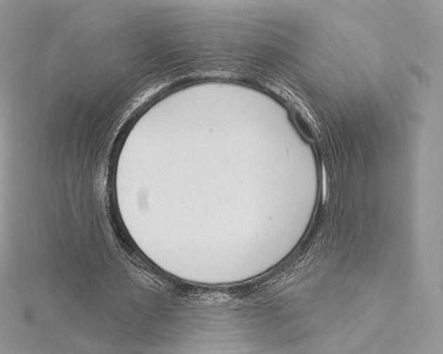 X0000115550483200912041035