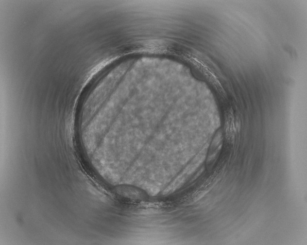 X0000115550484200912041035