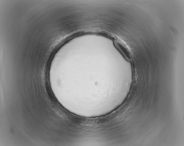 X0000115550487200912041035