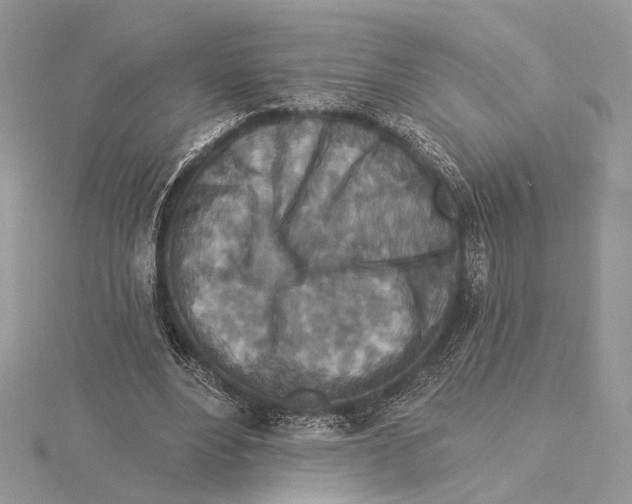 X0000115550488200912041035