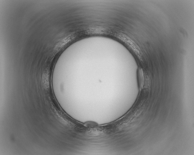 X0000115550489200912041035