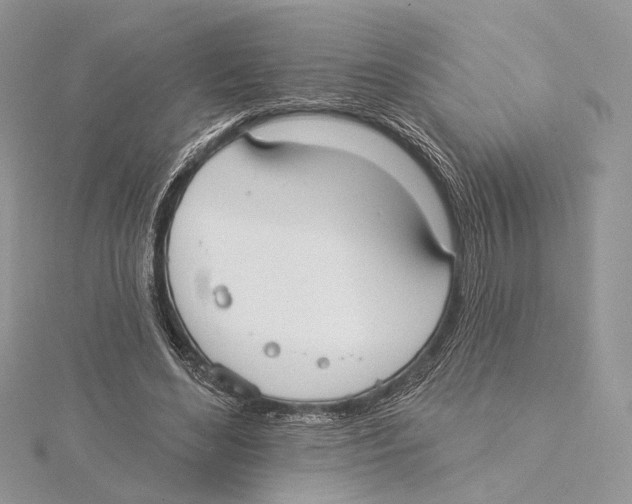 X0000115550492200912041035