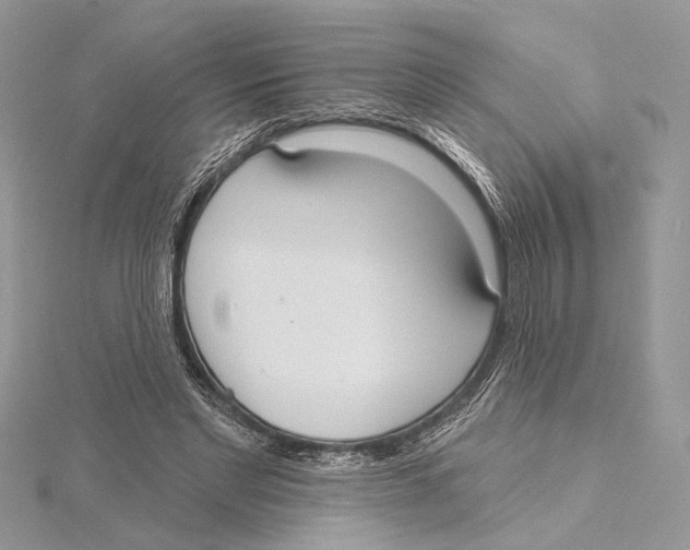 X0000115550493200912041035