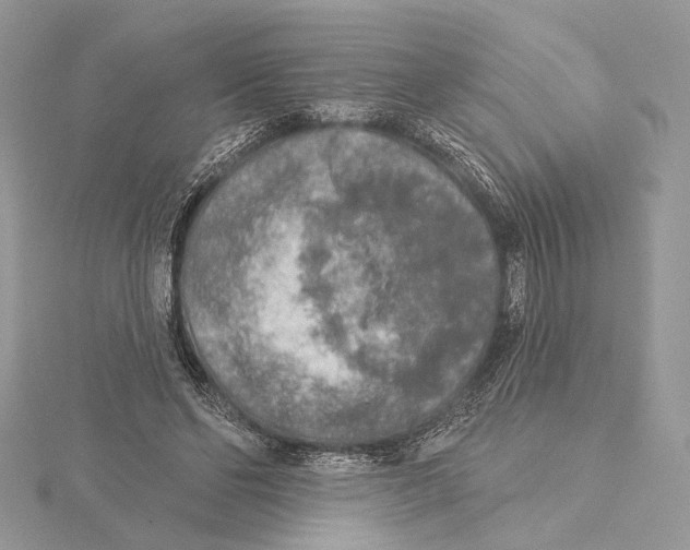 X0000115550494200912041035