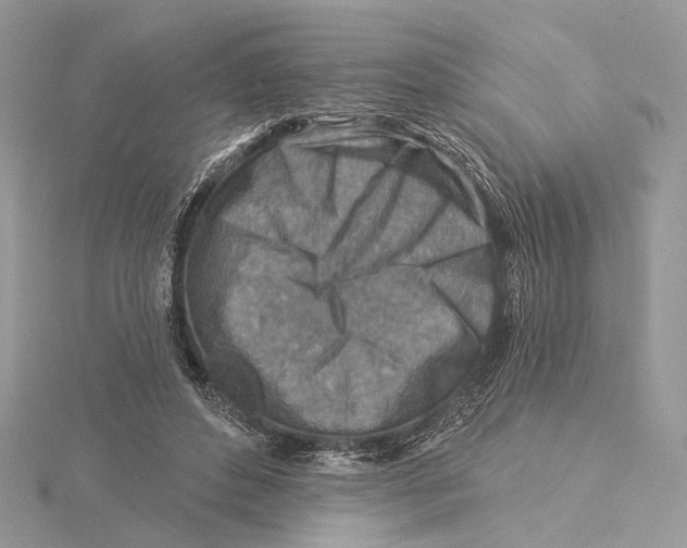 X0000115550496200912041035