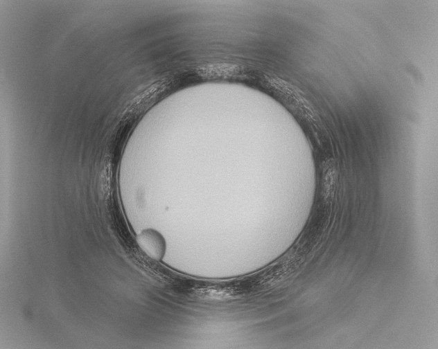 X0000115550498200912041035