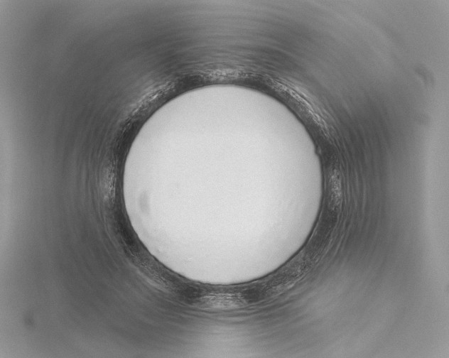 X0000115550499200912041035