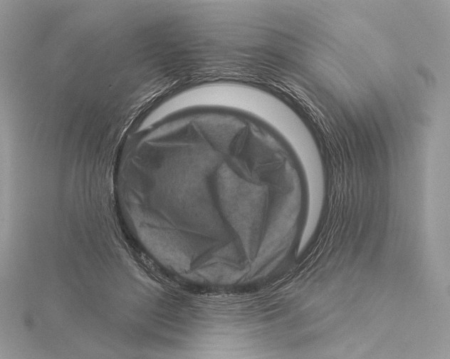 X0000115550500200912041035