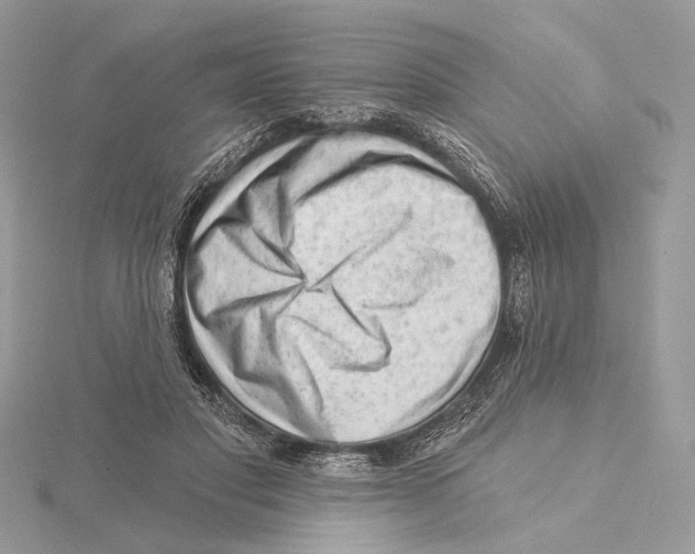 X0000115550501200912041035