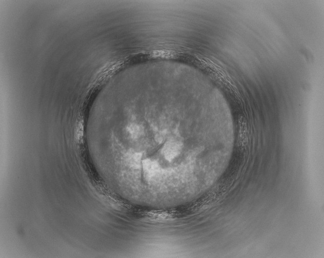 X0000115550502200912041035