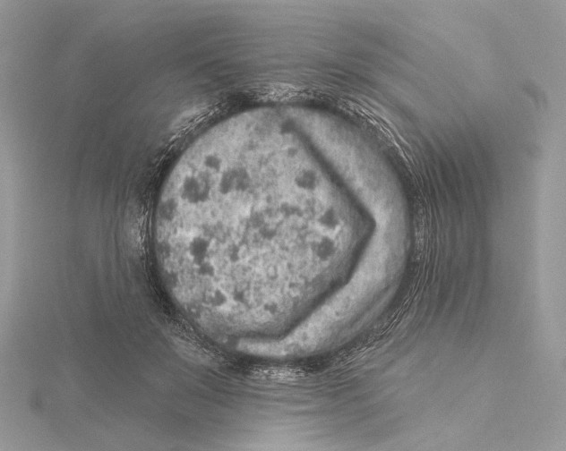 X0000115550503200912041035