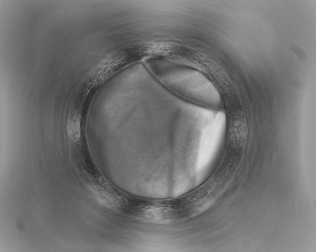 X0000115550504200912041035