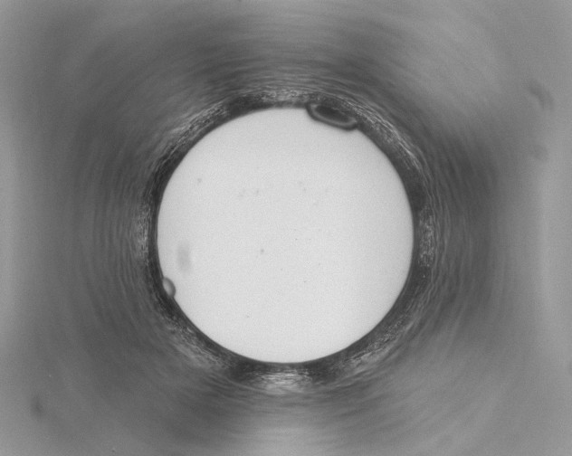 X0000115550505200912041035