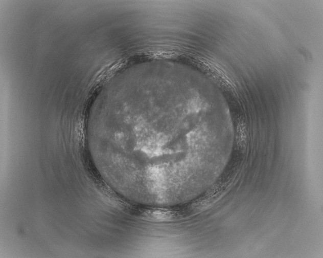 X0000115550506200912041035